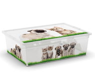KIS C-Box Puppy & Kitten L 27 litres on wheels - Storage Box