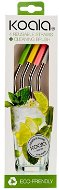 KOALA Stainless-steel  Curved Straws with Discriminator and Cleaner, 4 pieces - Straw