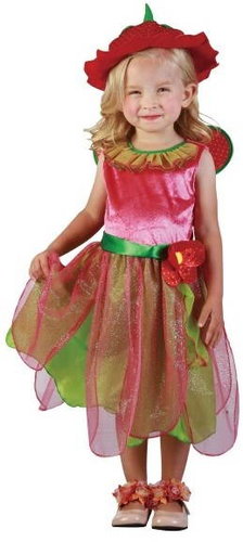 Strawberry Fairy costume size. XS - Costume - Main image
