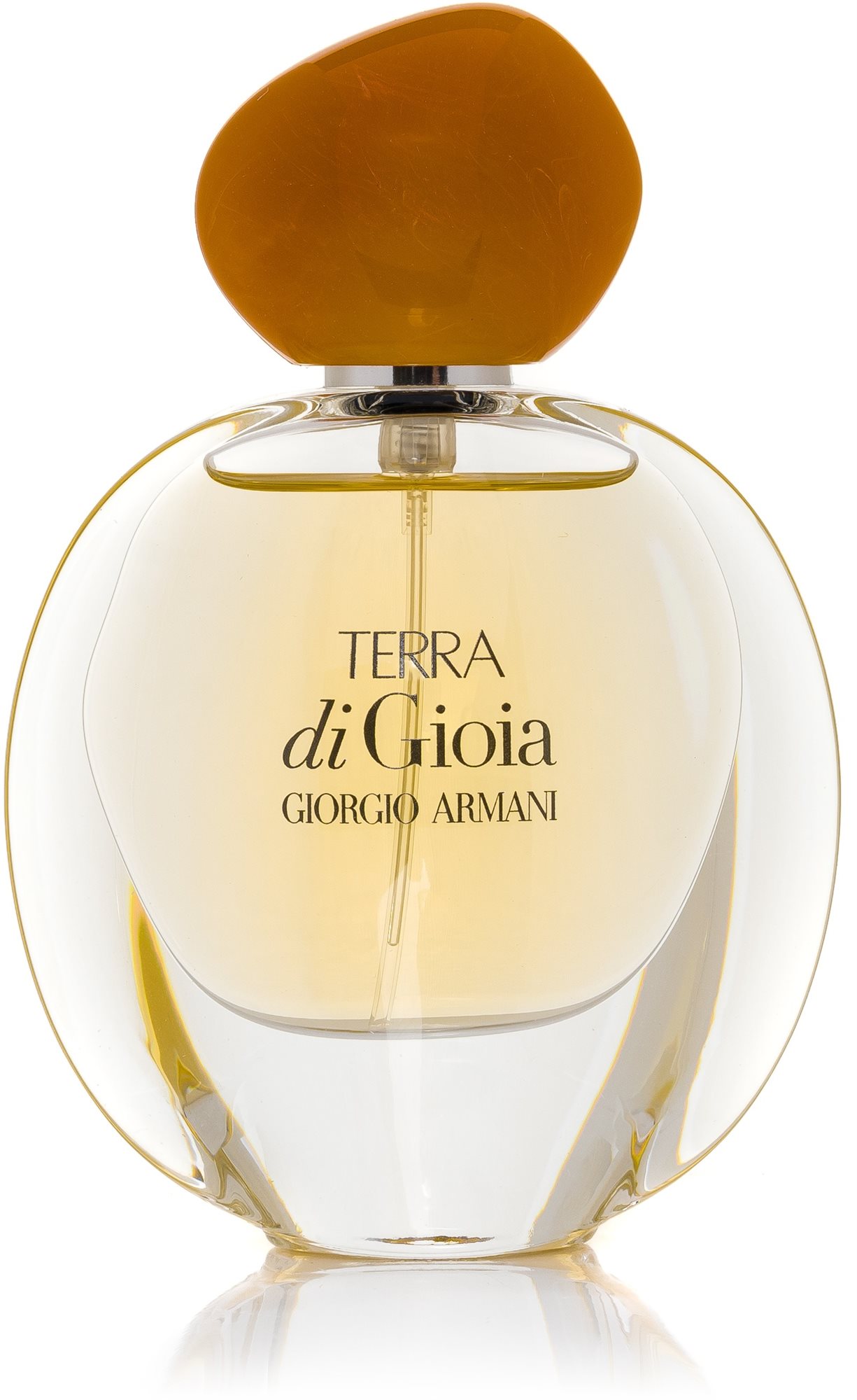 GIORGIO ARMANI Terra Di Gioia EdP 30 ml Eau de Parfum Alza.cz