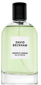 DAVID BECKHAM Aromatic Greens EdP 100 ml - Eau de Parfum - Fő fotó