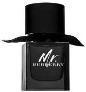 BURBERRY Mr.Burberry EdP 50ml - Eau de Parfum