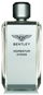 BENTLEY Momentum Intense EdP 100 ml - Parfüm