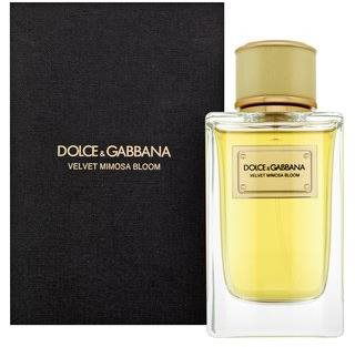 Dolce gabbana 2024 velvet mimosa bloom