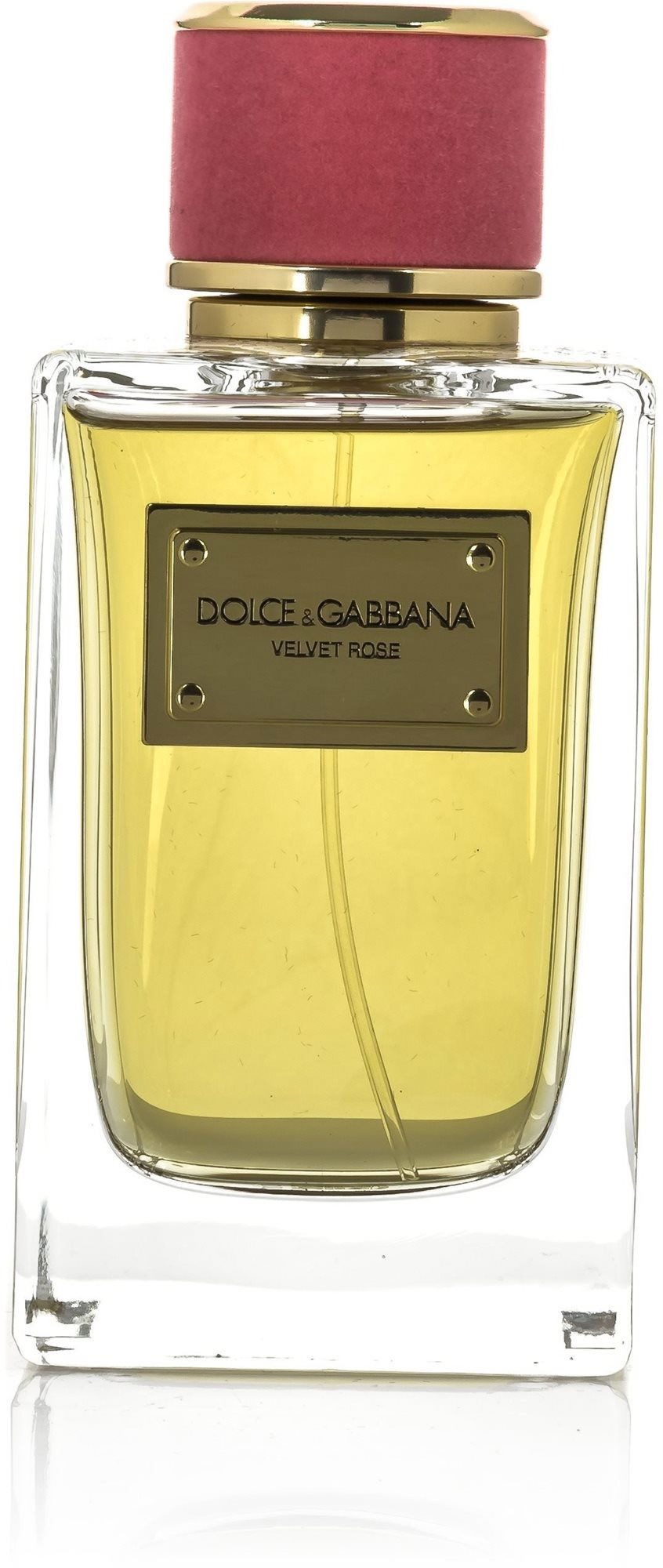 Dolce gabbana hotsell velvet rose