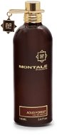 MONTALE Aoud Forest EdP 100 ml - Parfüm