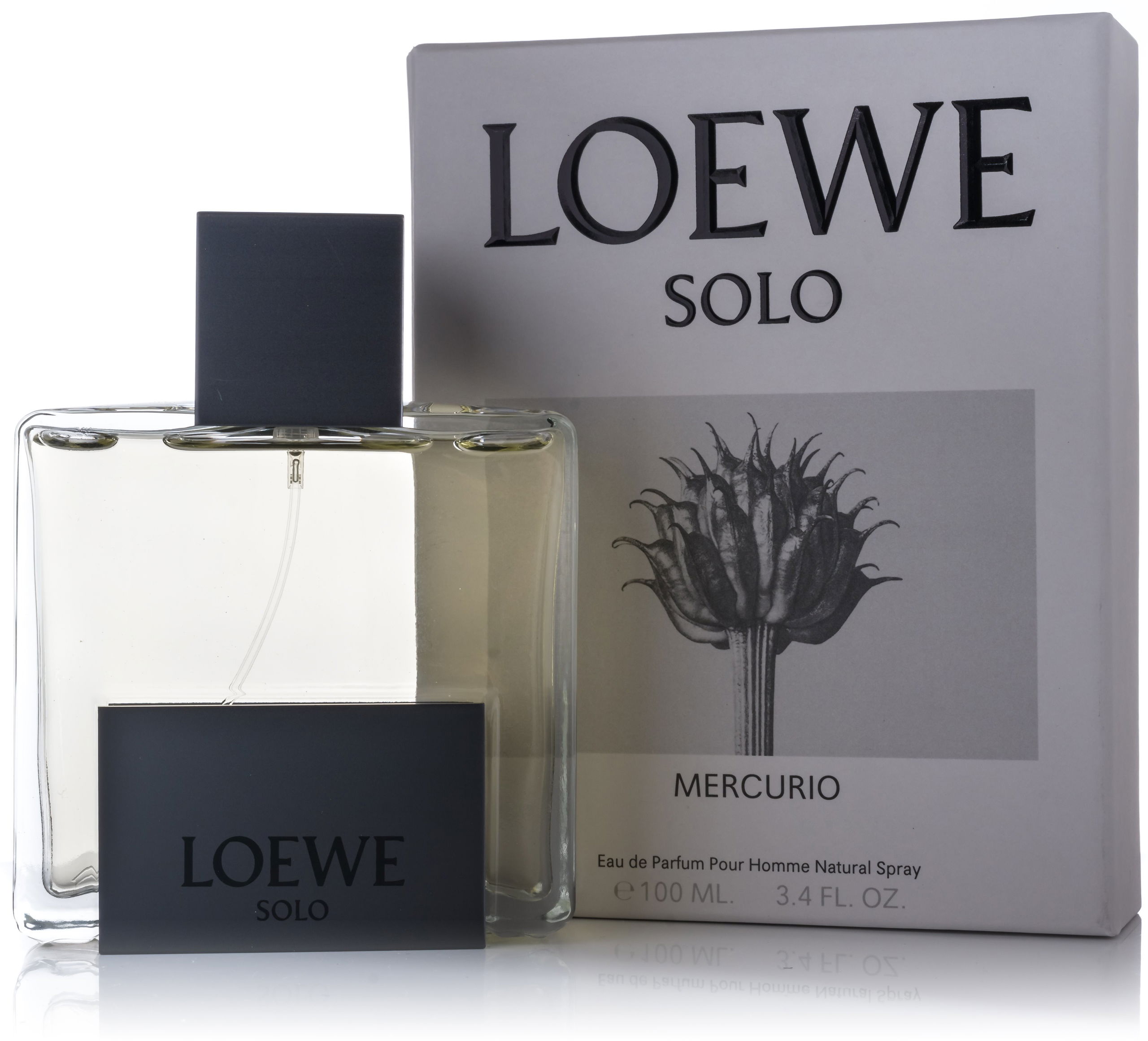 LOEWE Loewe Solo Mercurio EdP 100 ml - Eau de Parfum | Alza.cz