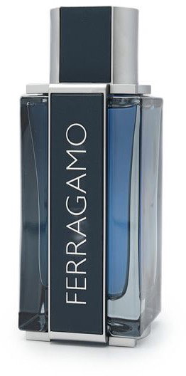 FERRAGAMO Ferragamo Intense Leather EdP 100 ml