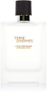 HERMES Terre d´ Hermes 100 ml - Aftershave