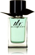 BURBERRY Mr. Burberry EdT 100 ml - Toaletná voda