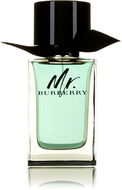 BURBERRY Mr. Burberry EdT - Toaletná voda