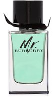 BURBERRY Mr. Burberry EdT 150 ml - Eau de Toilette