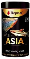 Tropical Asia M 100 ml 40 g - Krmivo pre akváriové ryby