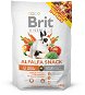 Maškrty pre hlodavce Brit Animals Alfalfa Snack for Rodents 100 g - Pamlsky pro hlodavce