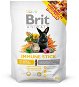 Brit Animals Immune Stick for Rodents 80g - Treats for Rodents