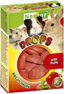 Nestor Biscuit Fruit 35g - Treats for Rodents