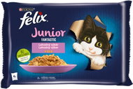 Felix Fantastic Junior pouches for kittens, chicken and salmon in jelly 4x85g - Cat Food Pouch