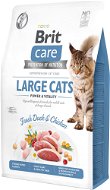 Brit Care Cat Grain-Free Large Cats Power & Vitality, 2kg - Cat Kibble
