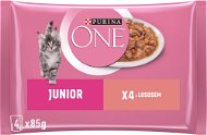Purina ONE Junior minifiletky s lososem a mrkví ve šťávě 4 × 85 g - Kapsička pro kočky