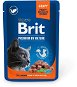 Brit premium cat pouches Salmon for Sterilised 100 g - Cat Food Pouch