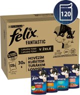 Felix Fantastic multipack lahodný výběr v želé 120 × 85 g - Kapsička pro kočky