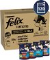Felix Fantastic multipack lahodný výběr v želé 120 × 85 g - Kapsička pro kočky