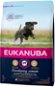 Eukanuba Junior Large 3kg - Kibble for Puppies