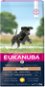 Eukanuba Junior Large 15 kg - Granule pre šteniatka