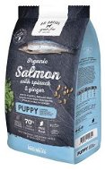 Go Native Puppy Salmon with Spinach and Ginger 12 kg - Granule pre šteniatka
