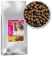 WellCan Gold Adult Maxi Chicken and Rice 15kg - Dog Kibble