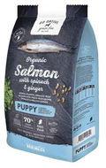 Go Native Puppy Salmon with Spinach and Ginger 4kg - Kibble for Puppies