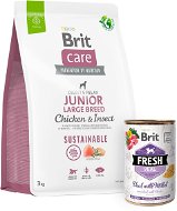 Brit Care Dog Sustainable s kuřecím a hmyzem Junior Large Breed 3 kg + Brit Fresh Veal with millet 4 - Dog Kibble