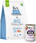 Brit Care Dog Sustainable s kuracím a hmyzom Adult Large Breed 3 kg + Brit Fresh Veal with millet 400 g - Granuly pre psov