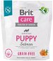 Brit Care Dog Grain-free s lososom Puppy 1 kg - Granule pre šteniatka