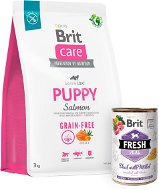 Brit Care Dog Grain-free s lososem Puppy 3 kg + Brit Fresh Veal with millet 400 g   - Kibble for Puppies