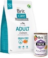 Brit Care Dog Grain-free s lososom Adult 3 kg + Brit Fresh Veal with millet 400 g - Granuly pre psov