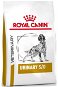 Royal Canin VD Dog Dry Urinary S/O 2 kg - Diétne granule pre psov