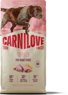 Carnilove True Fresh Dog Dry Turkey for Adult All Breeds 12 kg - Dog Kibble