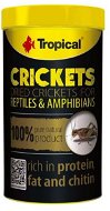 Tropical Crickets 100 ml 10 g - Terrarium Animal Food