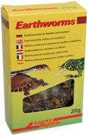 Lucky Reptile Earthworms 10 g - Krmivo pre teráriové zvieratá