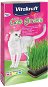Cat Grass Vitakraft Cat Gras grass 120 g - Tráva pro kočky