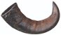 Trixie Buffalo Chewing Horn Large - Fallow Antler Dog Chew
