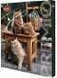 Trixie Premio Advent calendar with meat treats for cats - Advent Calendar for Cats