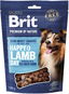 Brit Premium by Nature Dog Semi-moist Snacks Lamb with Sea Buckthorn 180 g - Pamlsky pro psy