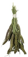 JR Birds Green Senegal millet 50 g - Birds Treats