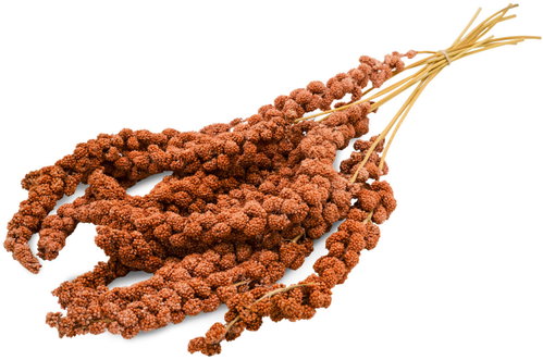 JR Birds Chinese red millet 250 g - Birds Treats - Main image