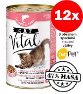 Konzerva Cat Vital 47 % mäsa losos + pstruh 12× 415 g - Konzerva pre mačky