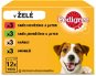Pedigree Vital Protection in Jelly, Adult 12 x 100g - Dog Food Pouch