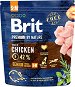 Brit Premium by Nature Senior S+M 1 kg - Granuly pre psov