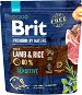 Granule pro psy Brit Premium by Nature Sensitive Lamb 1 kg - Granule pro psy